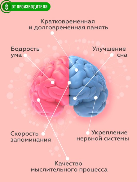 Комплекс для улучшения памяти Эрудит с клубникой