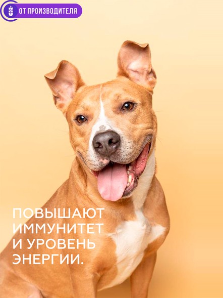 Клетчатка для собак «Кора»