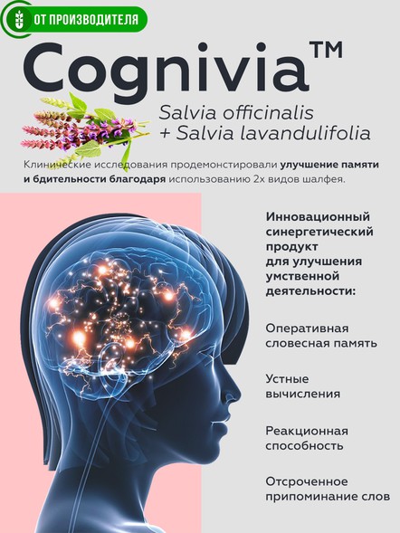 Комплекс для улучшения памяти Эрудит с клубникой