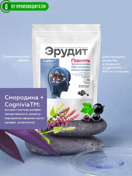 Комплекс для улучшения памяти Эрудит со смородиной