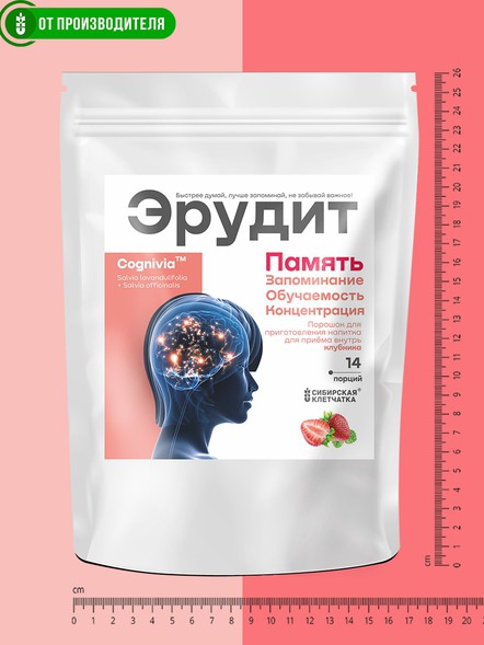 Комплекс для улучшения памяти Эрудит с клубникой