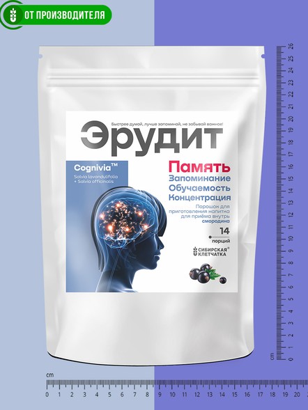 Комплекс для улучшения памяти Эрудит со смородиной