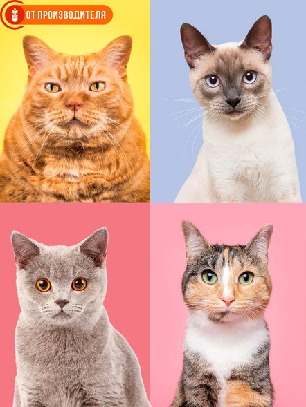 Клетчатка для кошек «Пуся» 150 гр