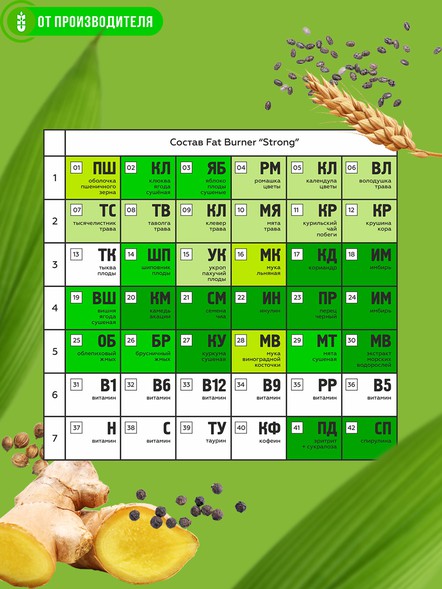 Жиросжигатель FAT BURNER STRONG